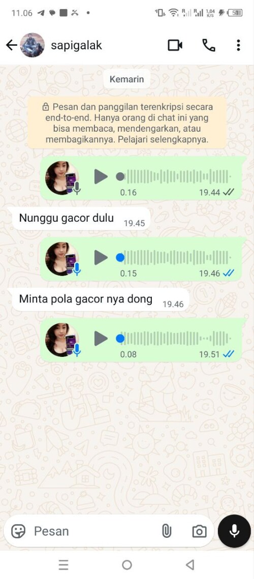 sapigalak