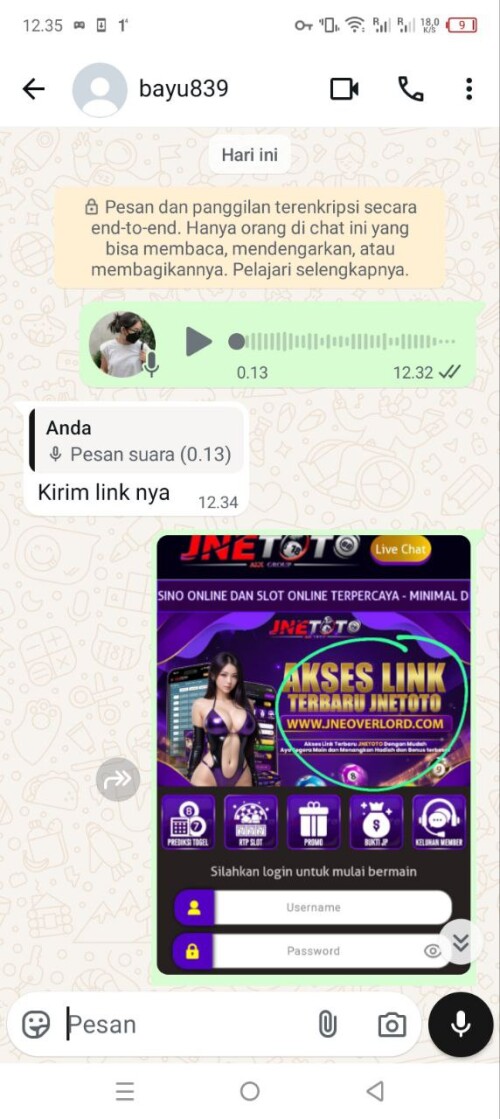 bayu839.jpeg