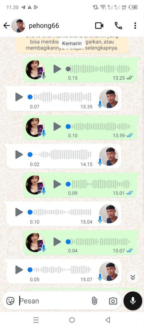 pehong66