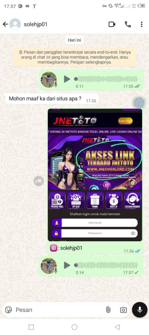 solehjp01.jpeg