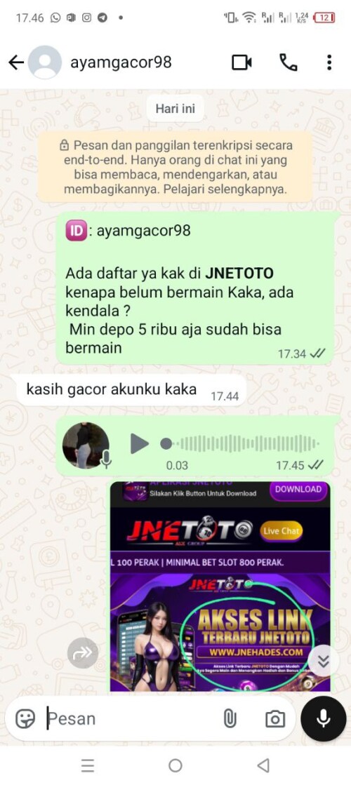 ayamgacor98.jpeg