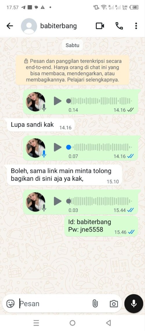 babiterbang