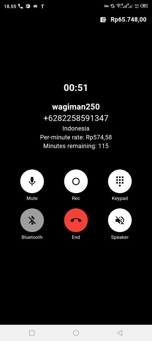 wagiman250.jpeg
