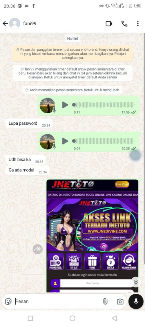 fani99.jpeg