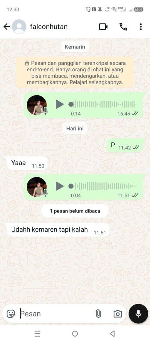 falconhutan.jpeg