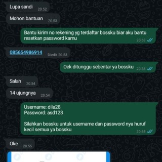 dila28