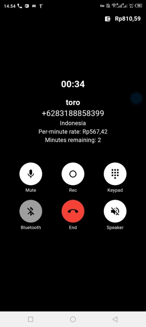 toro.jpeg