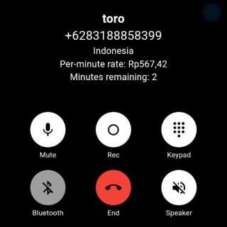 toro
