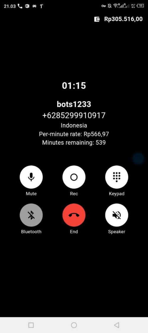 bots1233.jpeg