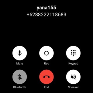 yana155
