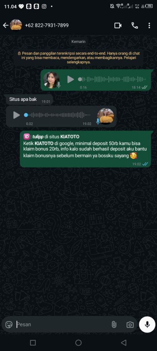 tulipp.jpeg