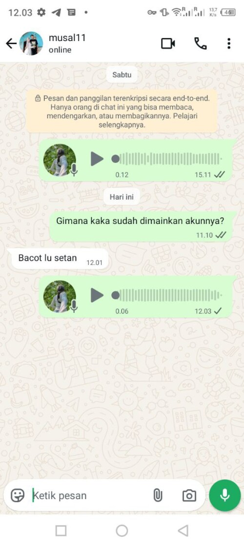musal11.jpeg