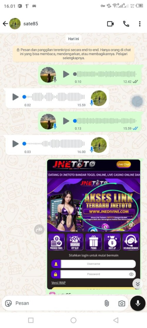 sate85.jpeg