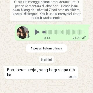 situ03