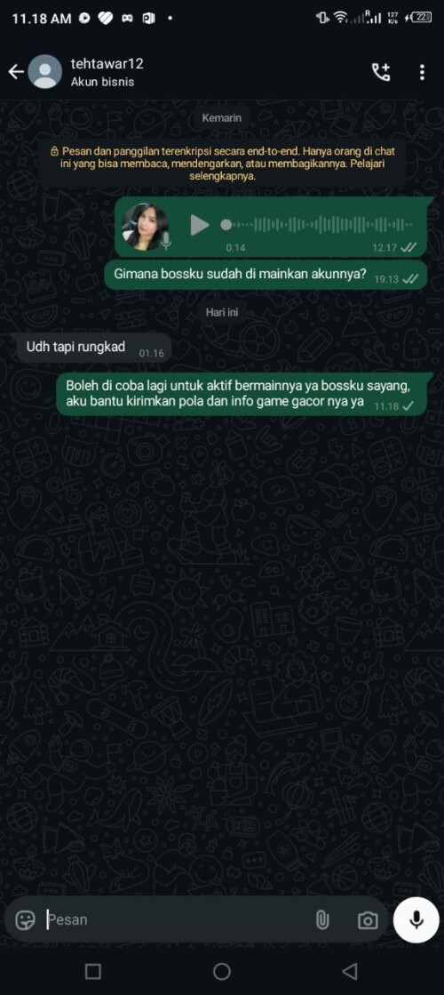 tehtawar12.jpeg