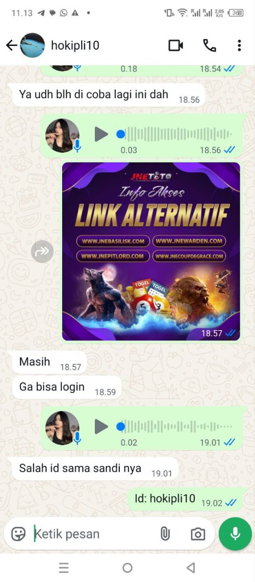 hokipli10.jpeg