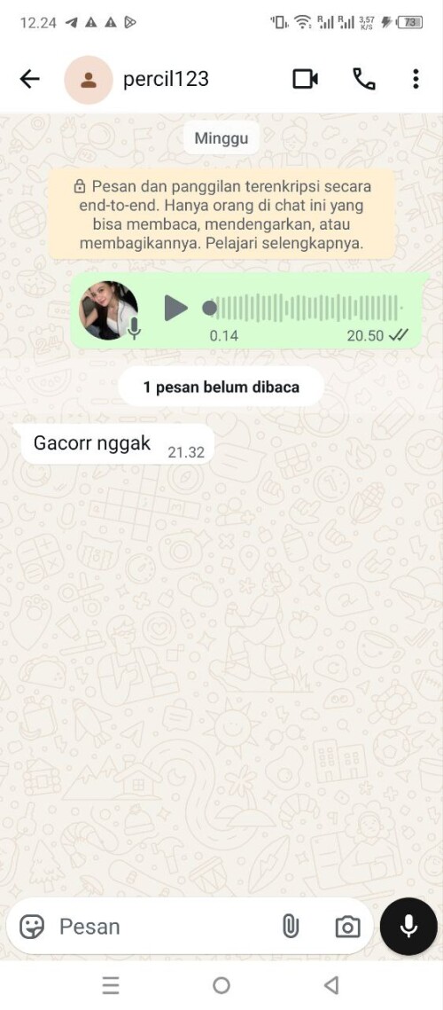 percil123.jpeg