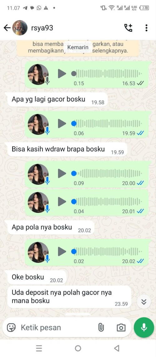 rsya93.jpeg