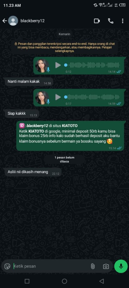 blackberry12.jpeg