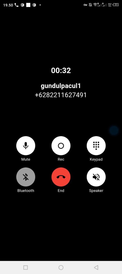 gundulpacul1.jpeg