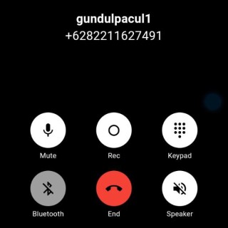 gundulpacul1