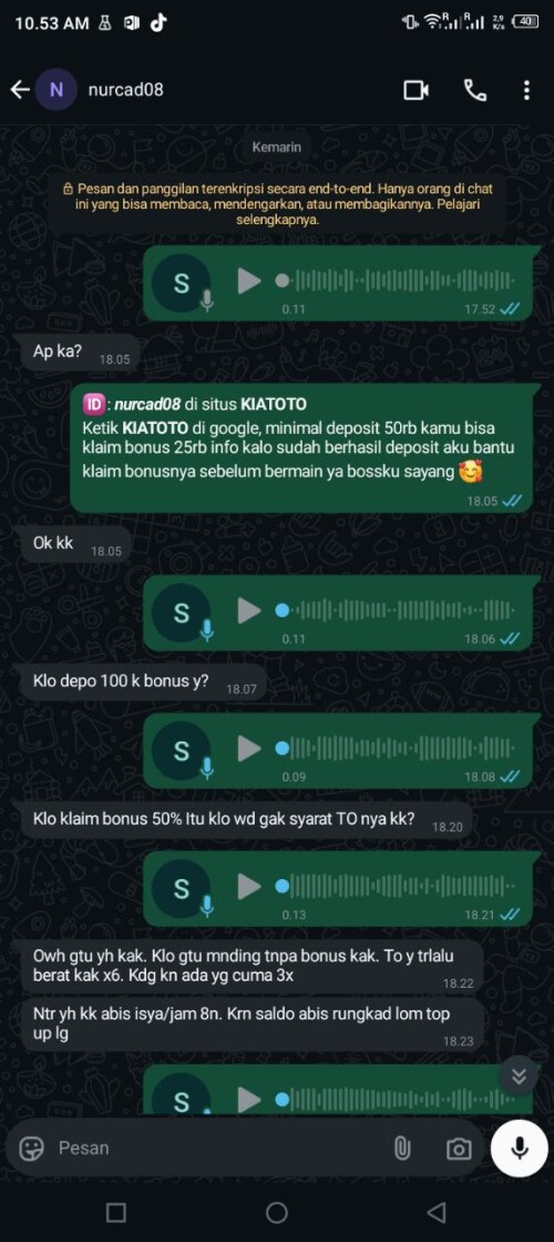 nurcad08.jpeg