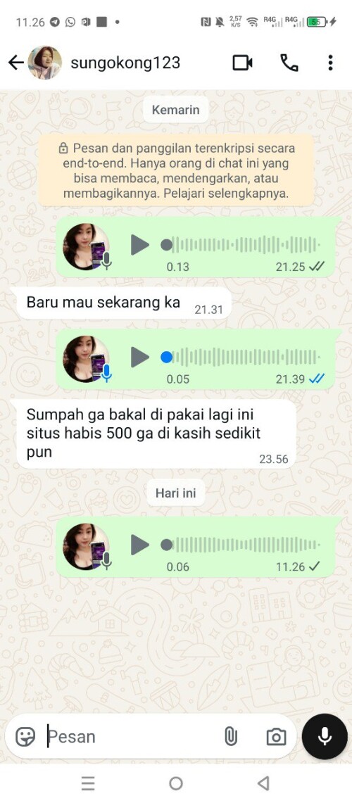 sungokong123.jpeg
