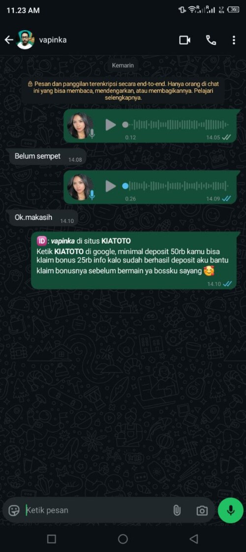 vapinka.jpeg