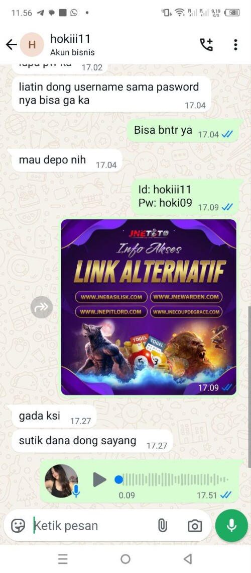 hokiii11.jpeg