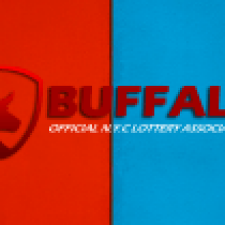 buffalo-panel-min