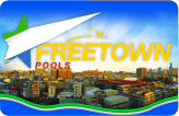 freetown-panel-min.png