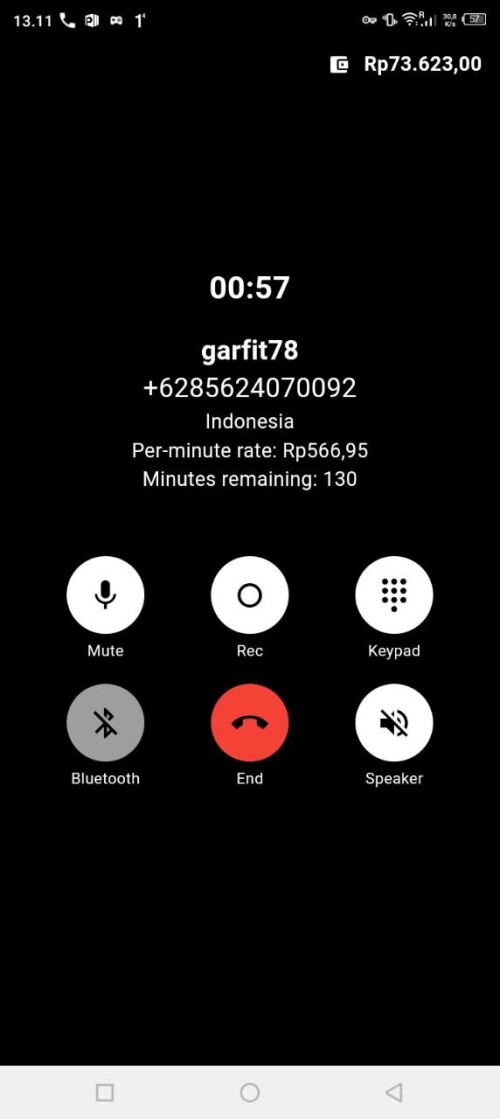 garfit78.jpeg