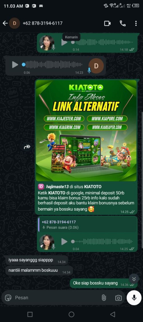 hajimaste13.jpeg