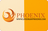 phoenix-panel-min.png