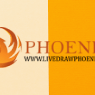 phoenix-panel-min