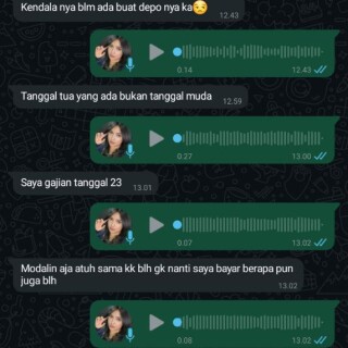 admin311