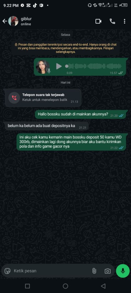 giblur.jpeg