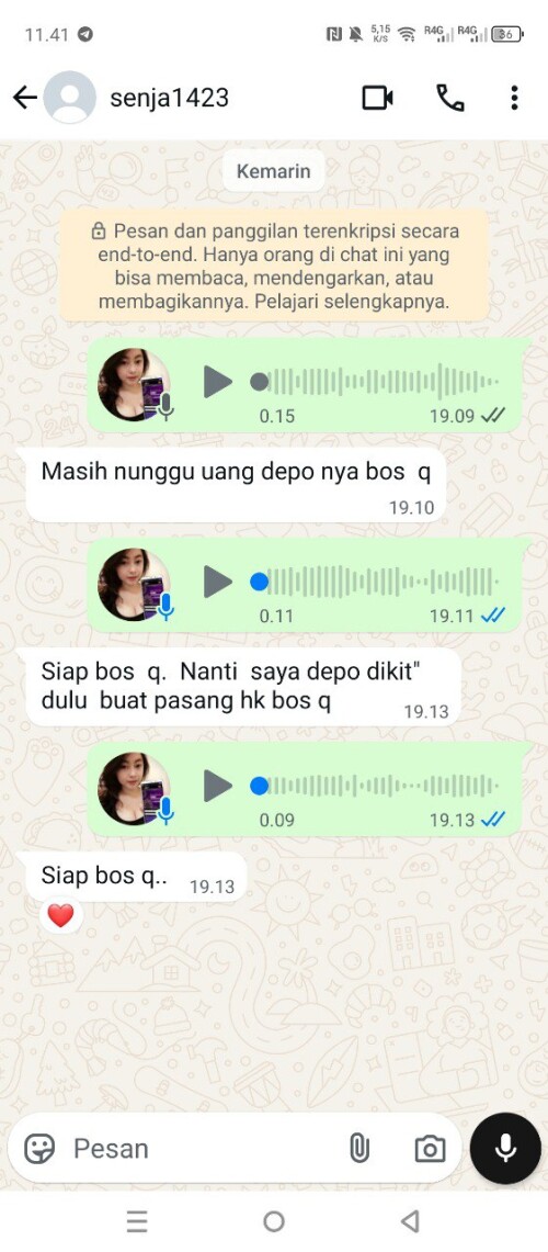 senja1423