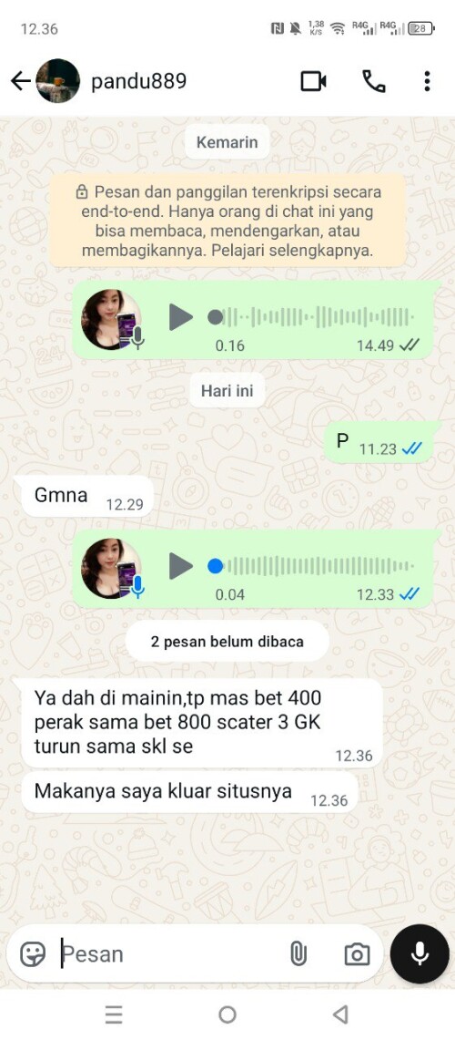 pandu889