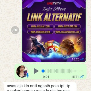 insanaja16