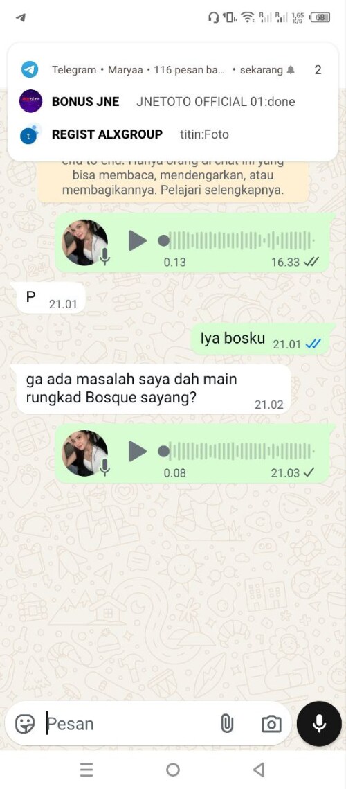 parmanmaxwin